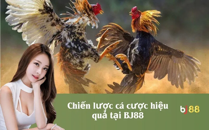 Chiến lược cá cược hiệu quả tại BJ88
